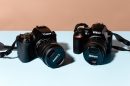 The Best DSLR for Beginners in 2023 | Reviews by Wirecutter